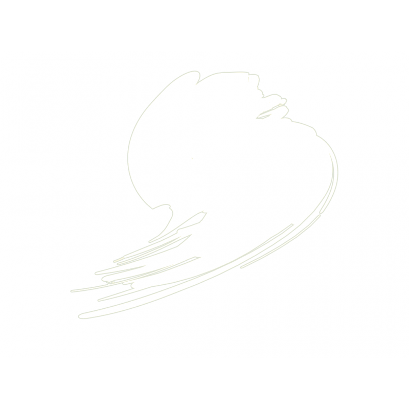 Traffic White (RAL 9016) 10ml - Hataka B101