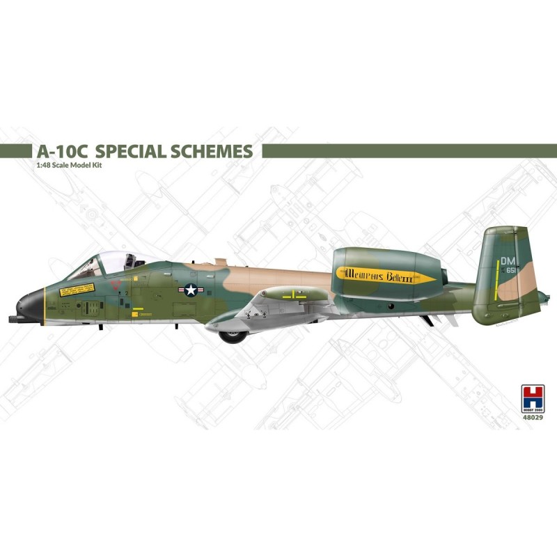 Samolot A-10C Special Schemes