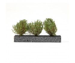 Dark green bushes by AK Interactive 8215