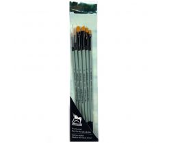 Set of 6 brushes