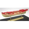 21ft English Pinnace - Model Shipways MS1458